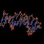 dna