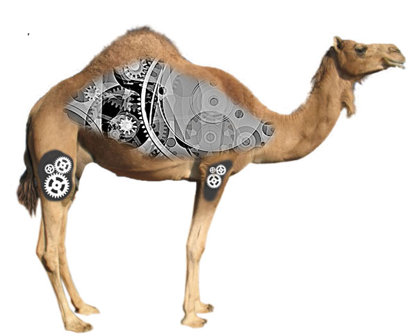 סמל הקבוצה