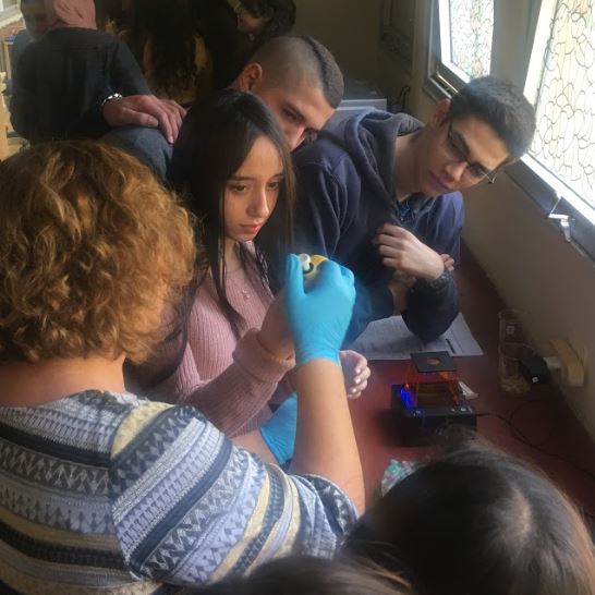 צוות המורים מדגים איך אפשר למצוא רוצח באמצעות דגימות דנא צוות המורים מדגים איך אפשר למצוא רוצח באמצעות דגימות דנא