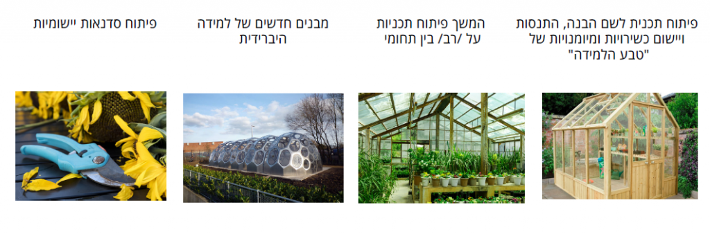 ליידי
