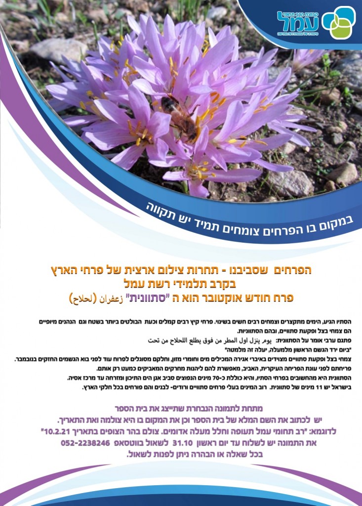 אוקטובר