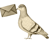 Pigeon1_button