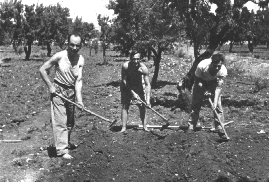 מחנה דרור של המוסד לעליה ב', איטליה