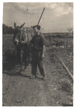 גרשון במקווה ישראל