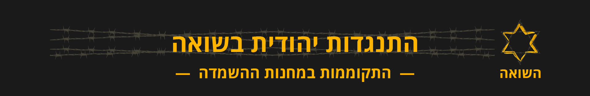 לדף הבית